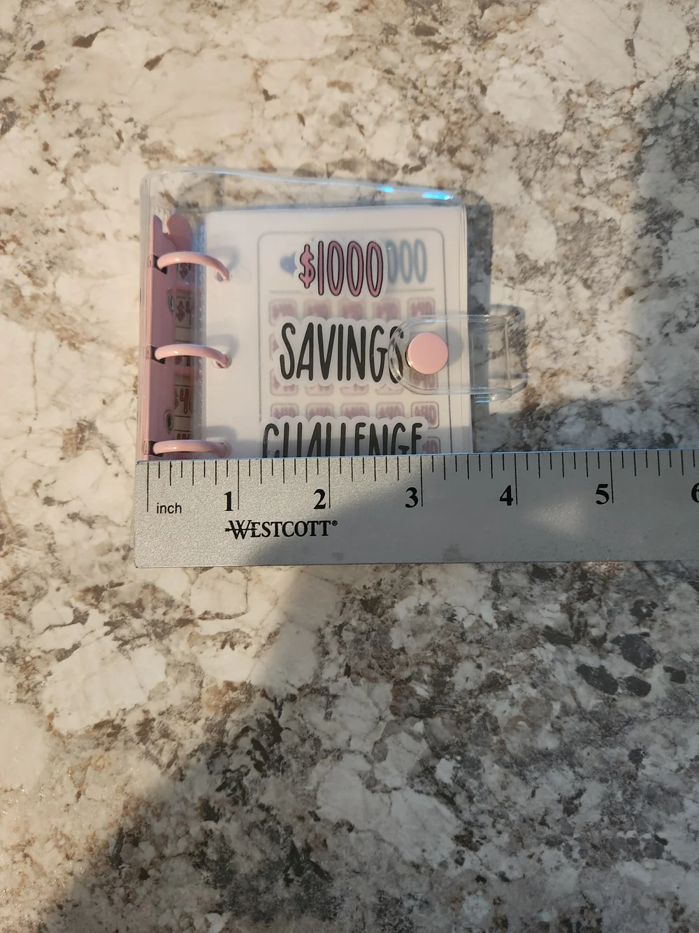 $1000 Savings Challenge Clear Binder with Pink Accents